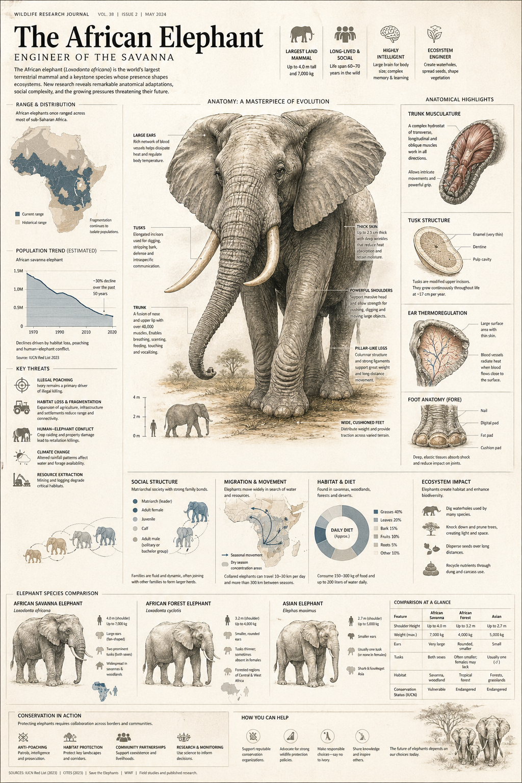 A highly detailed, professional editorial infographic in a classic broadsheet j… AI image prompt example