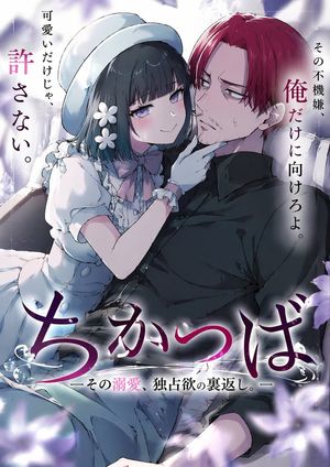 Anime Light Novel Cover Illustration AI image prompt result