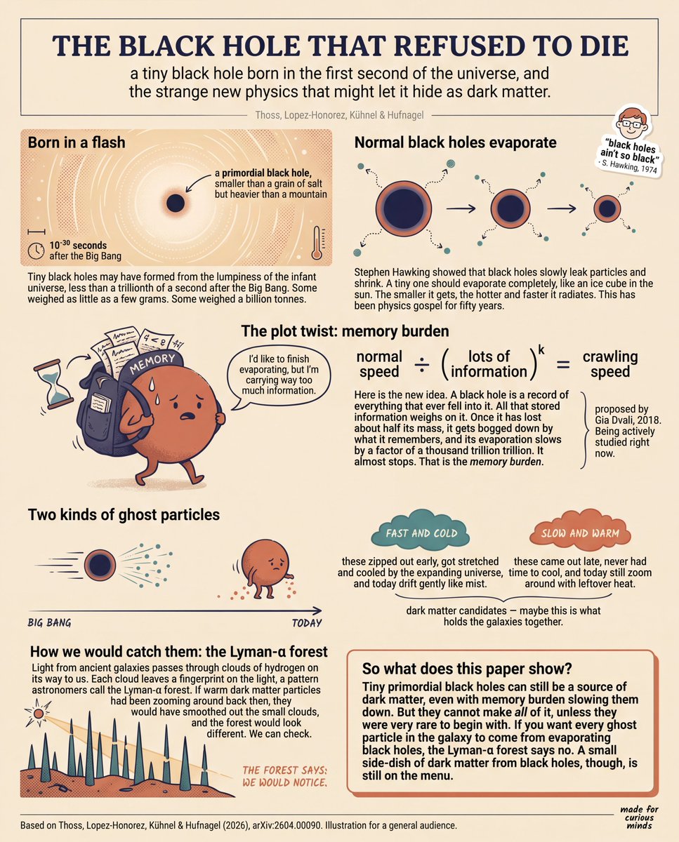 Teen-Friendly Black Hole Physics Infographic AI image prompt example